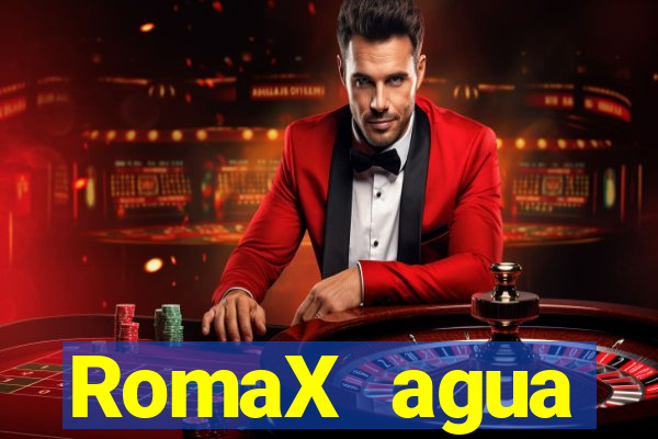 RomaX agua sanitaria fispq agua sanitaria romax